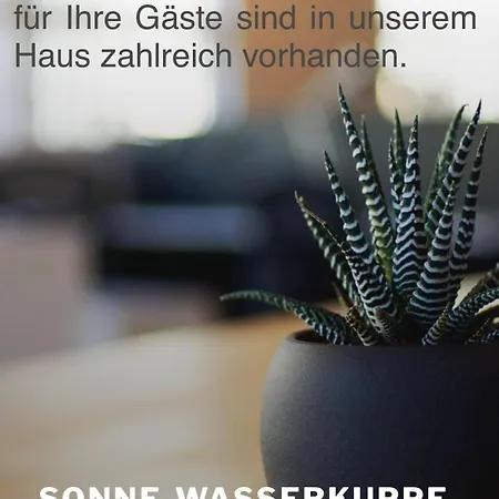 Zur Sonne 